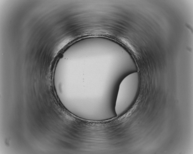 X0000091591071200708200947