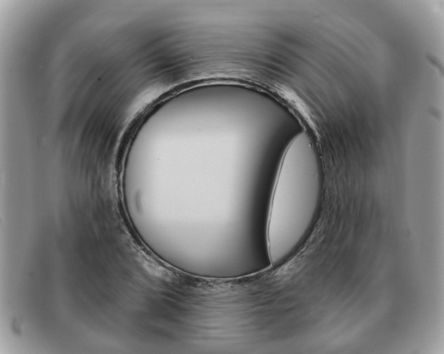 X0000091591072200708200947