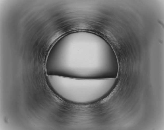 X0000091591073200708200947