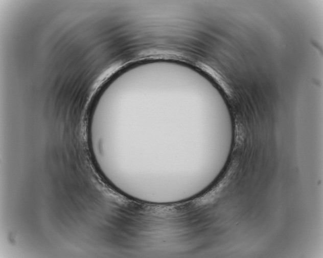 X0000091591074200708200947