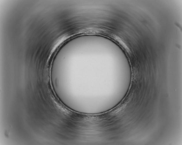 X0000091591075200708200947
