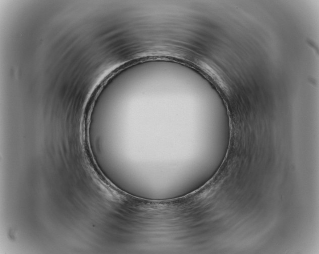 X0000091591076200708200947