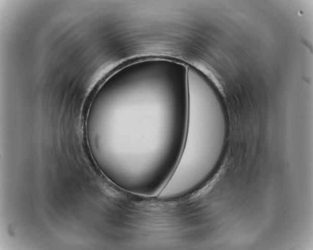 X0000091591077200708200947