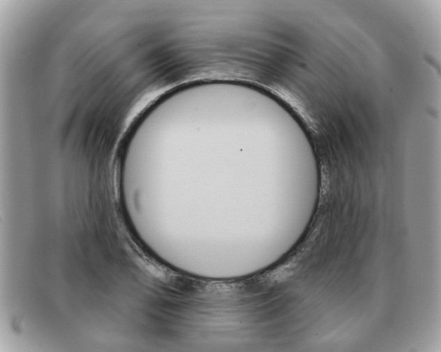 X0000091591078200708200946