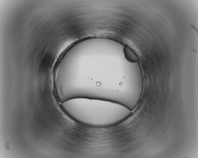 X0000091591079200708200946