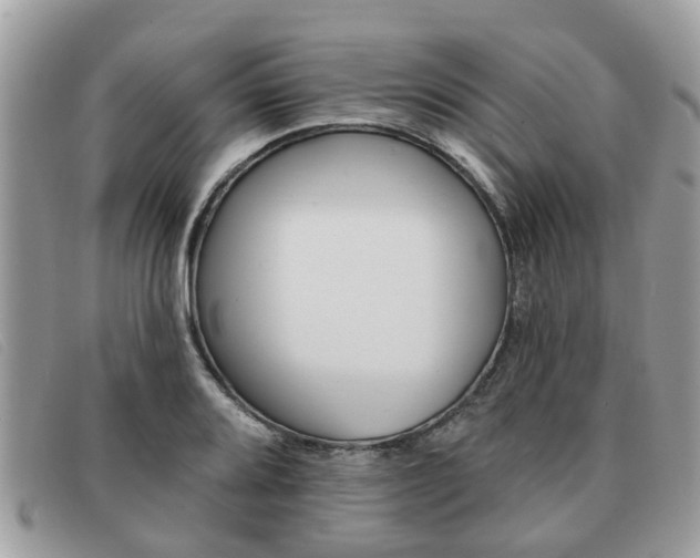 X0000091591080200708200946