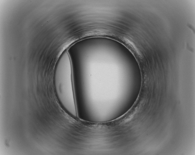 X0000091591081200708200946