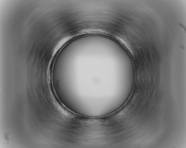 X0000091591082200708200946