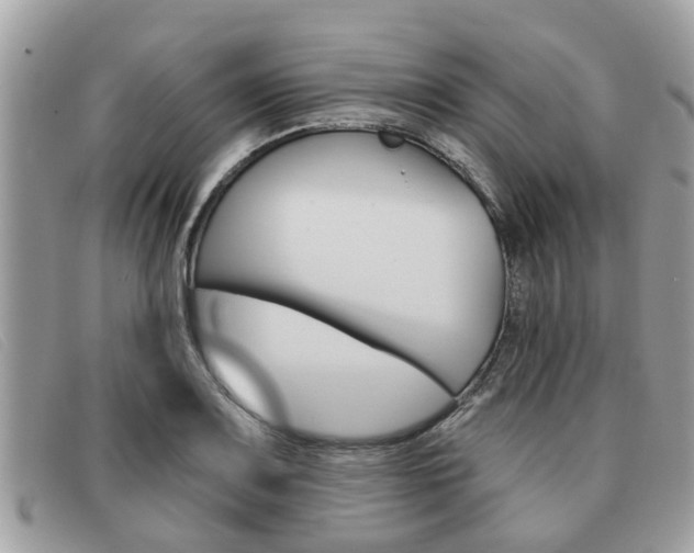 X0000091591083200708200946