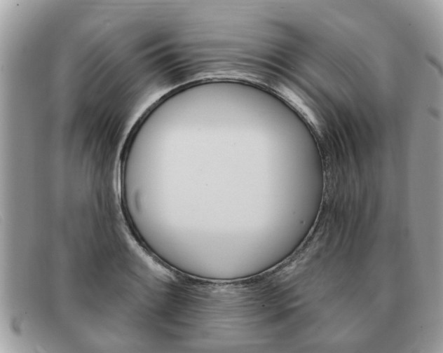 X0000091591084200708200946
