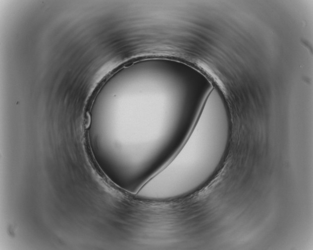 X0000091591085200708200946