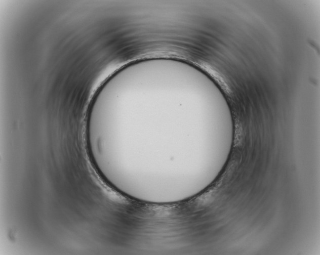 X0000091591086200708200946