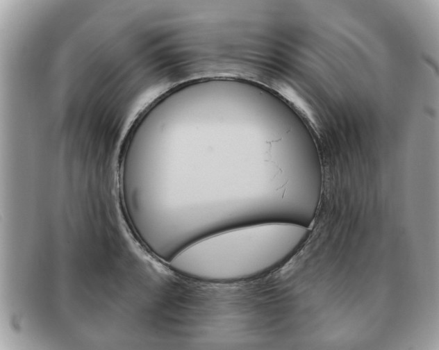 X0000091591088200708200946