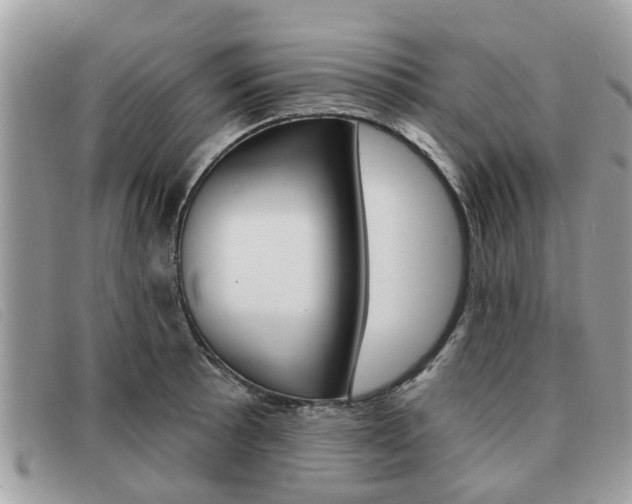 X0000091591089200708200946
