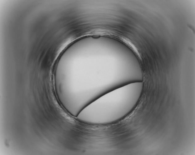 X0000091591091200708200946