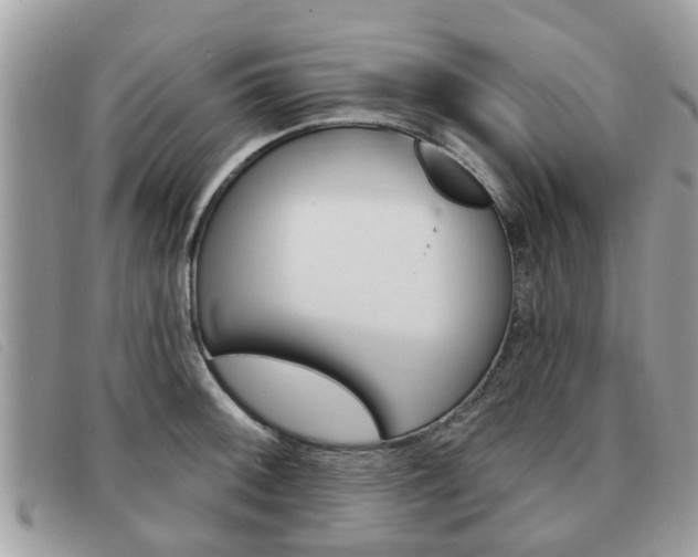 X0000091591092200708200946
