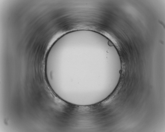 X0000091591094200708200946