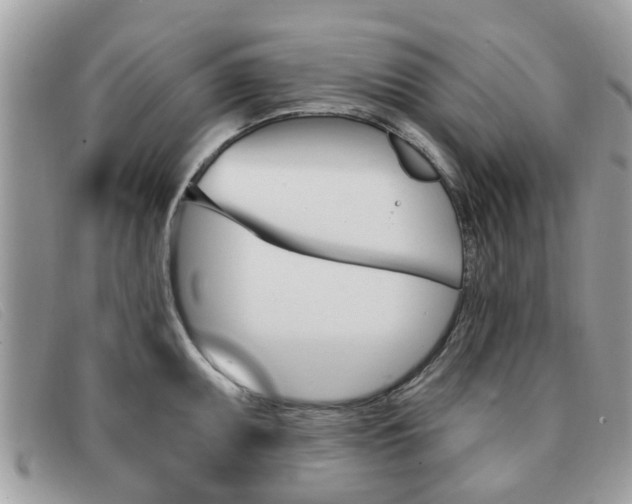 X0000091591095200708200946