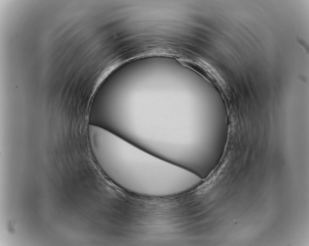 X0000091591097200708200946