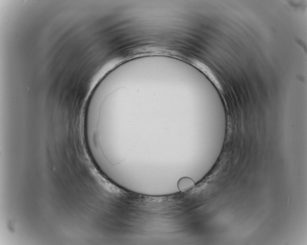 X0000091591098200708200946