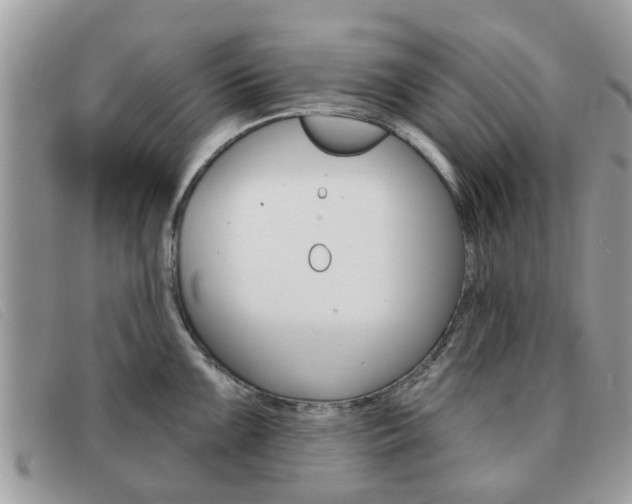 X0000091591099200708200946