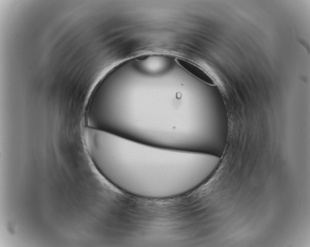 X0000091591100200708200946