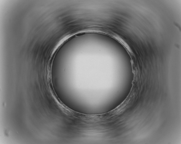 X0000091591101200708200946