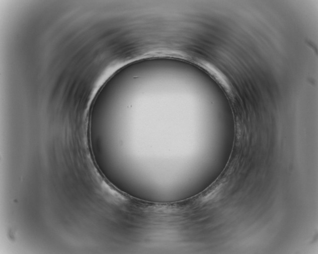 X0000091591102200708200946