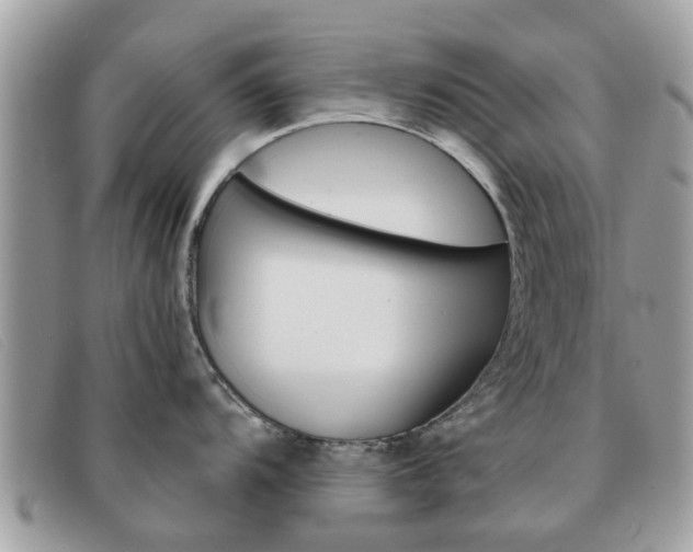 X0000091591104200708200946