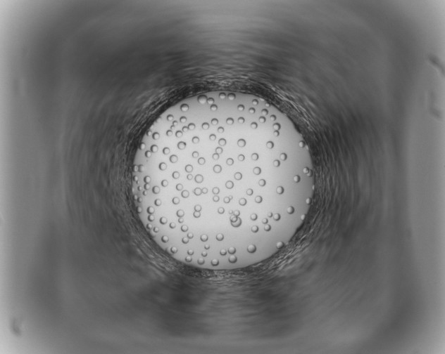 X0000091591105200708200945