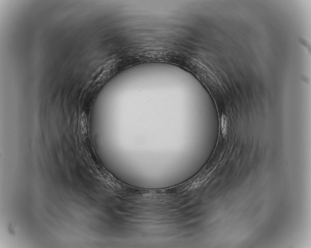 X0000091591107200708200945