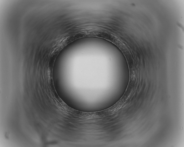 X0000091591108200708200945