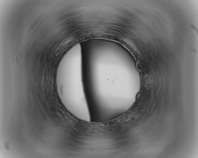 X0000091591111200708200945