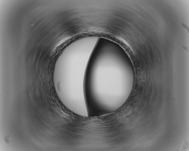 X0000091591112200708200945