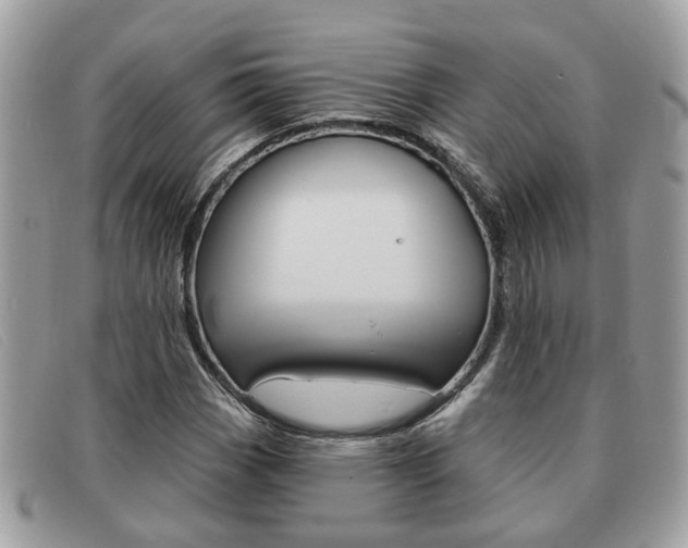 X0000091591113200708200945