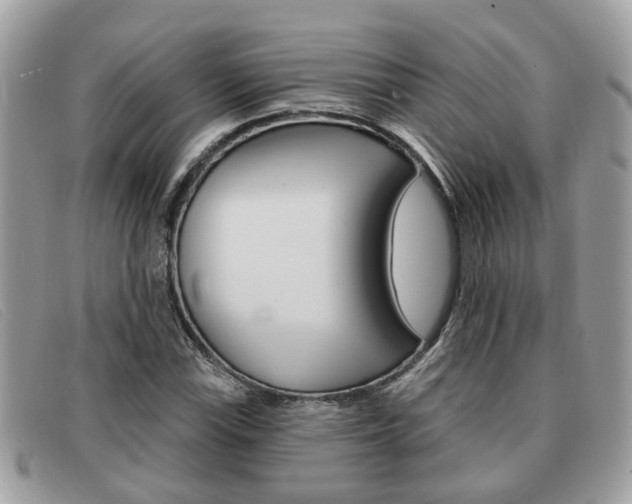 X0000091591115200708200945