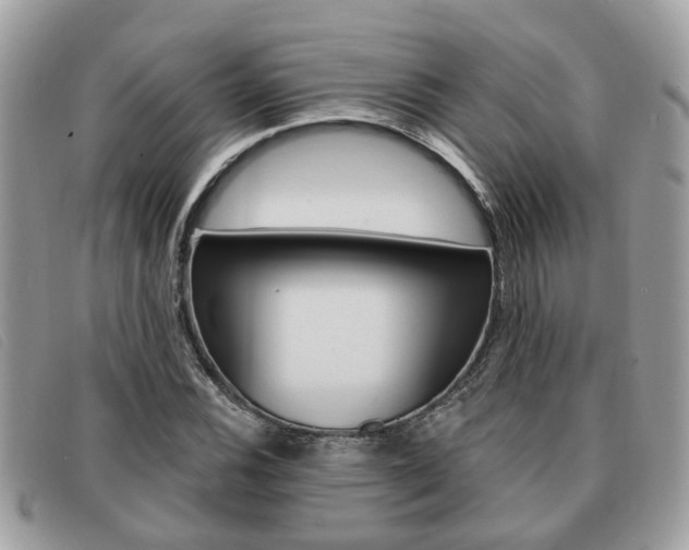 X0000091591116200708200945