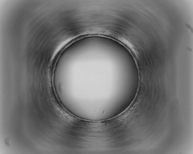 X0000091591120200708200945