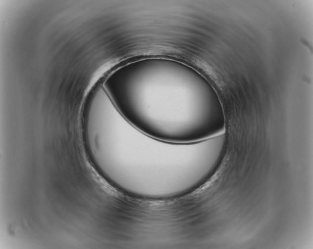 X0000091591122200708200945
