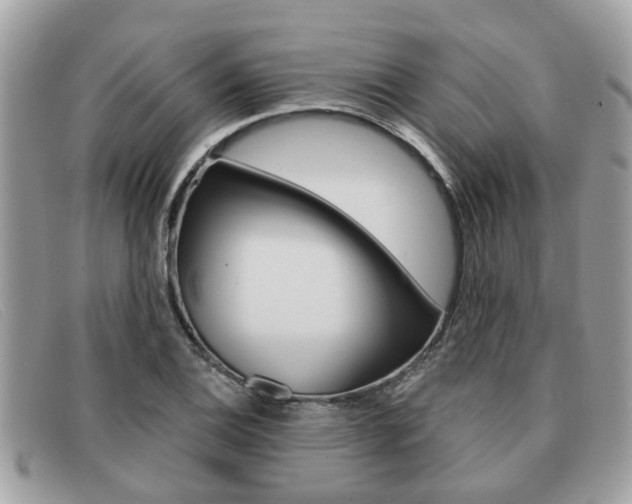 X0000091591124200708200945