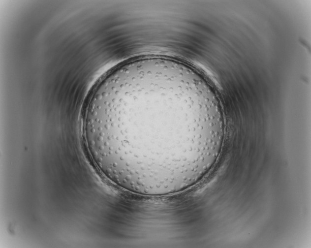 X0000091591125200708200945