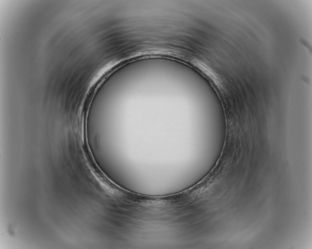 X0000091591127200708200945