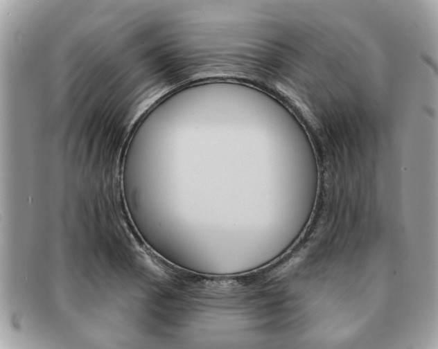 X0000091591129200708200945