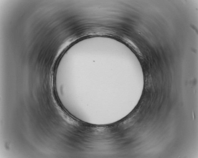 X0000091591130200708200945