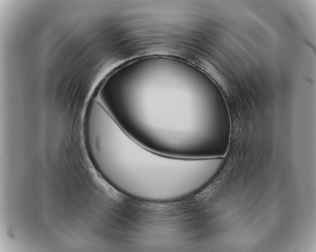 X0000091591132200708200946