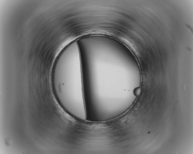 X0000091591133200708200946