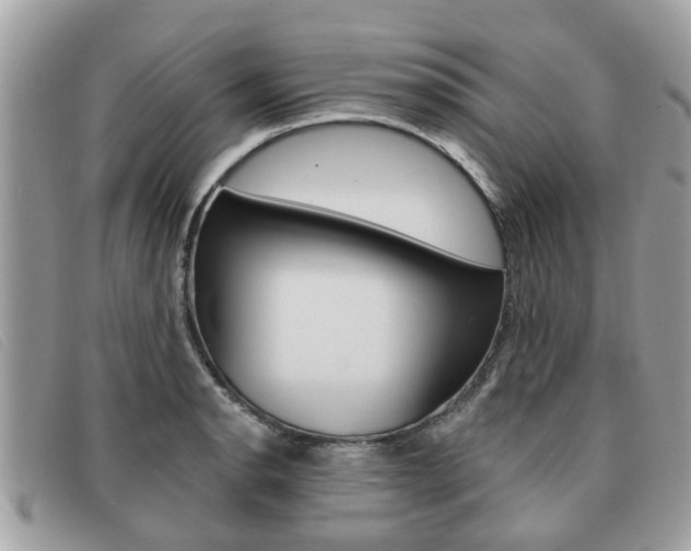 X0000091591134200708200946