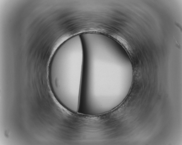 X0000091591135200708200946