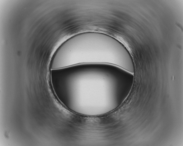 X0000091591136200708200946