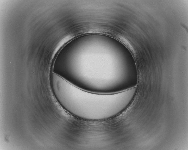 X0000091591138200708200946